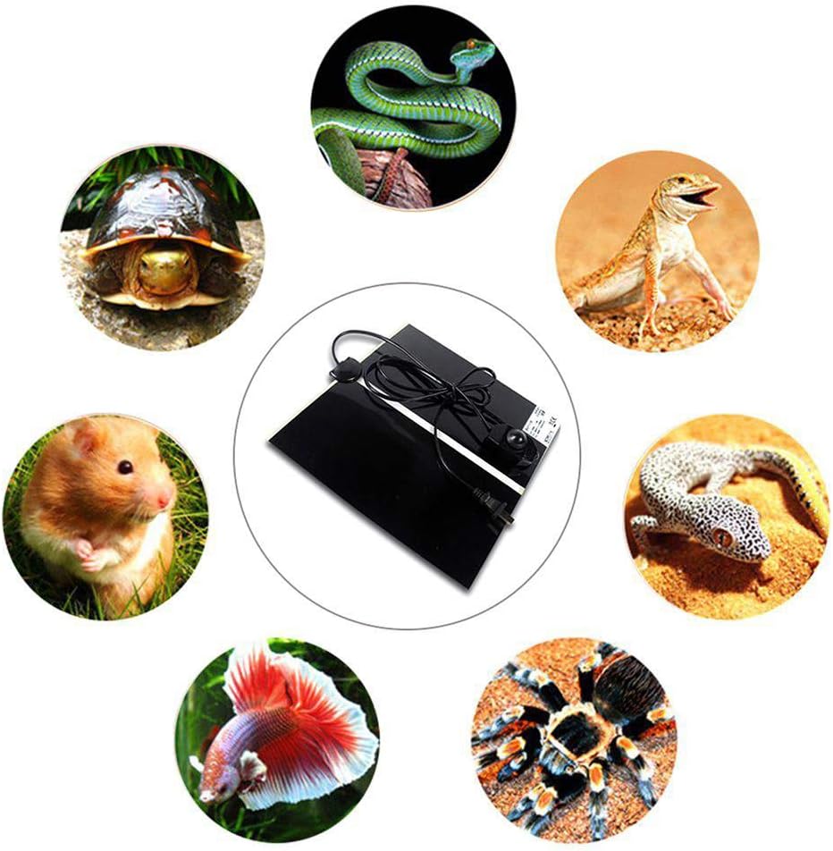 Hamiledyi 14W Reptile Heating Pad 2 PCS Warmer with Temperature Control Adjustment Under Tank 11x11 in Terrarium Heater Mat for Gecko Turtle Tortoise Snakes Lizard - Happypetzone.online - Image 6