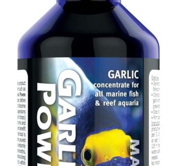 fish nutrition food