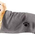 dog hygiene products