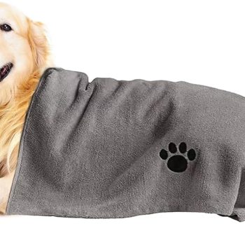 dog hygiene products