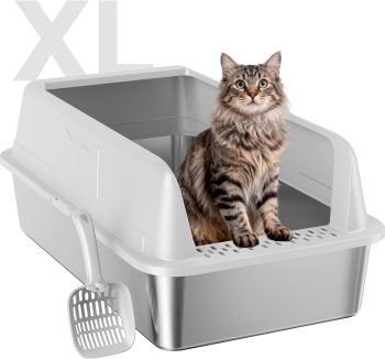 cat litter box anti smell