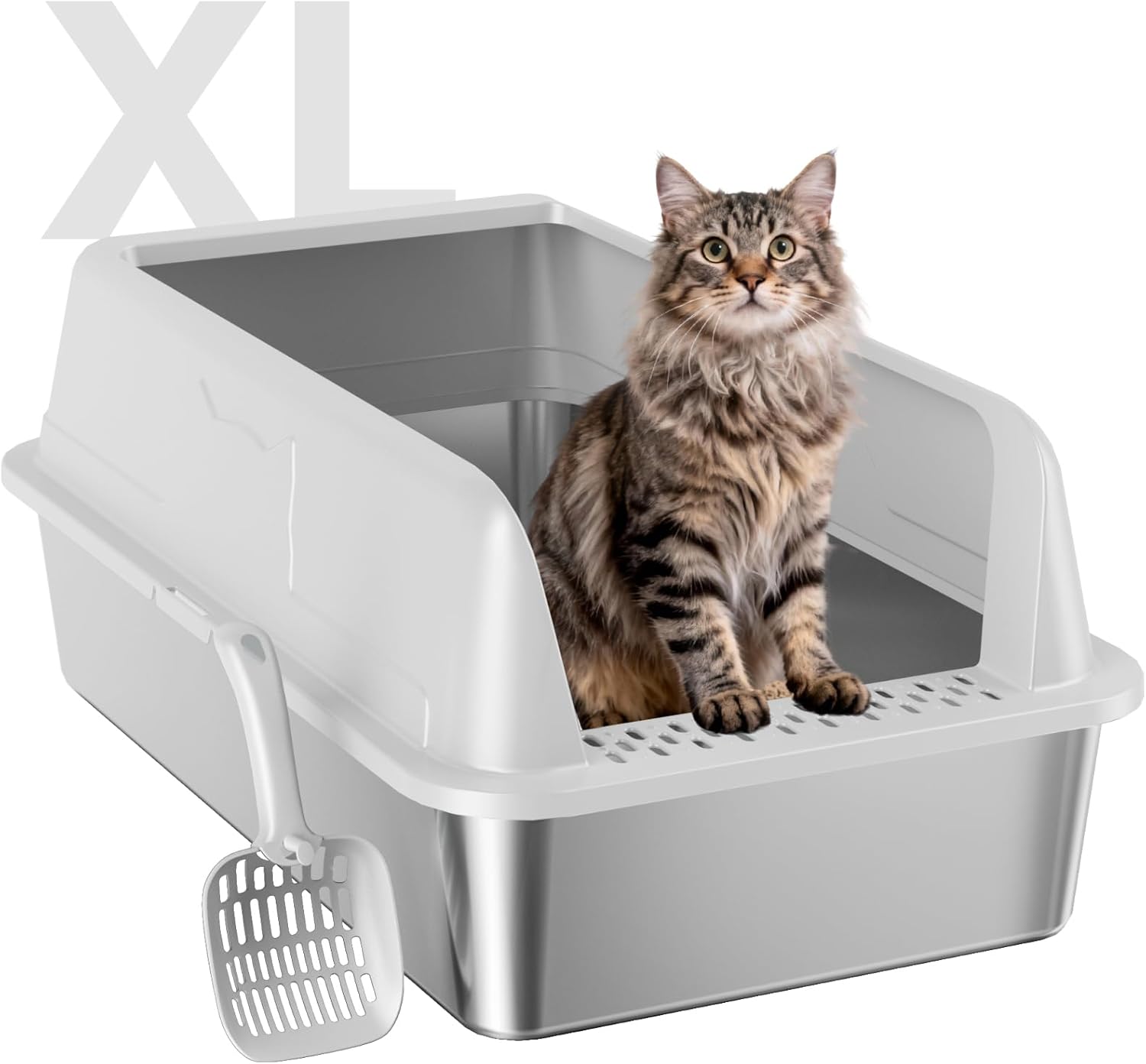 cat litter box anti smell