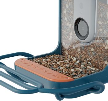 bird perch accessories