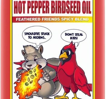 bird food bulk cheap