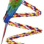 bird hanging swing
