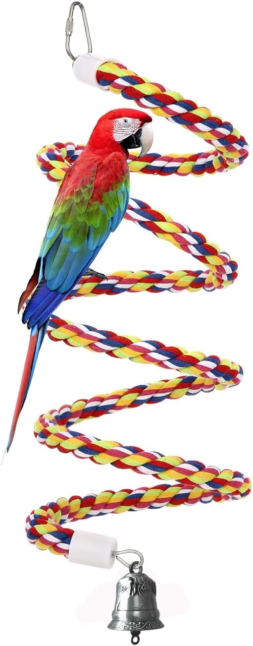 bird hanging swing