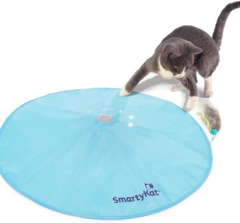 smart cat toys