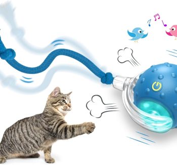 cat toy ball rolling