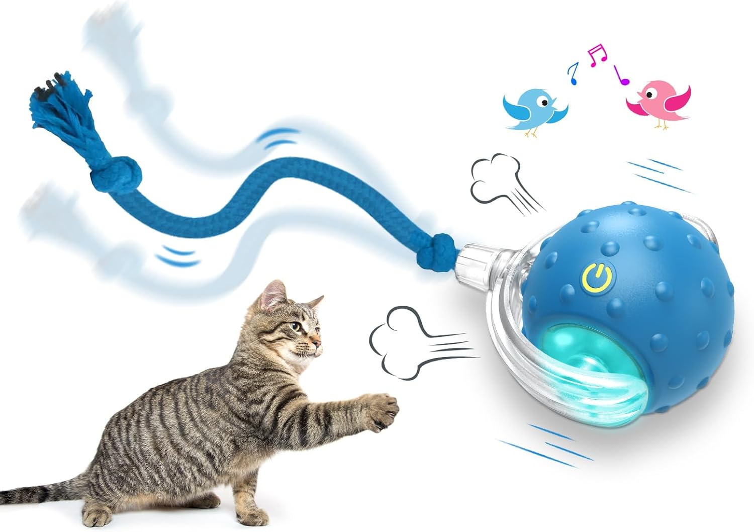 cat toy ball rolling