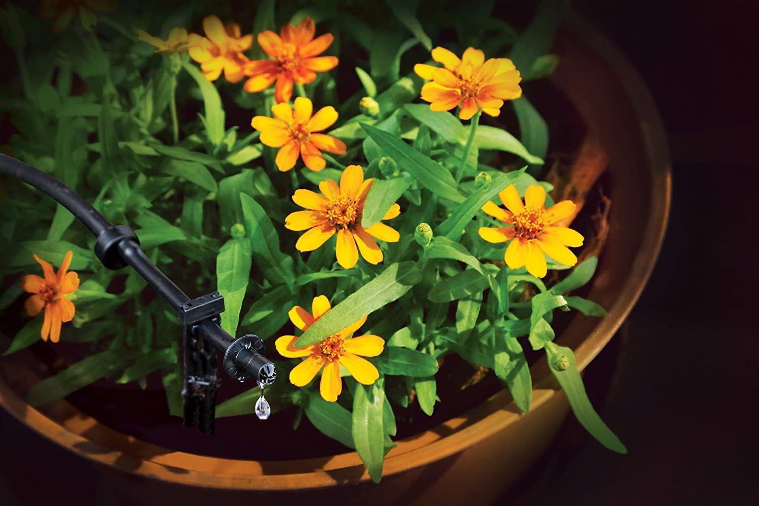 Rain Bird PATIOKIT Drip Irrigation Patio Watering Kit, Connects to Faucet, 1/4" Drip Tubing - Happypetzone.online - Image 10