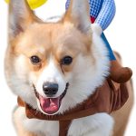 dog costume funny