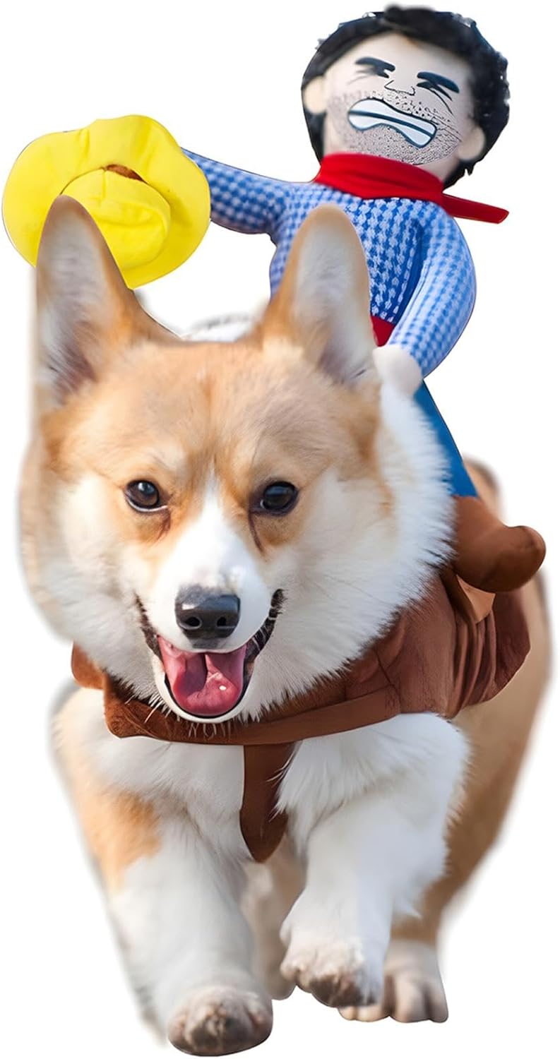 dog costume funny