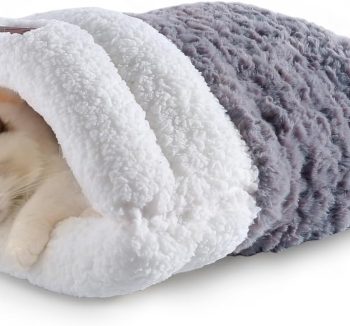 cat sleeping bed cat