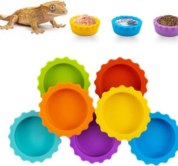 reptile nutrition food