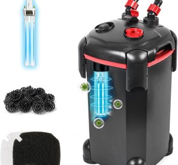 canister filter aquarium