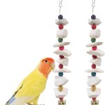 bird care essentials