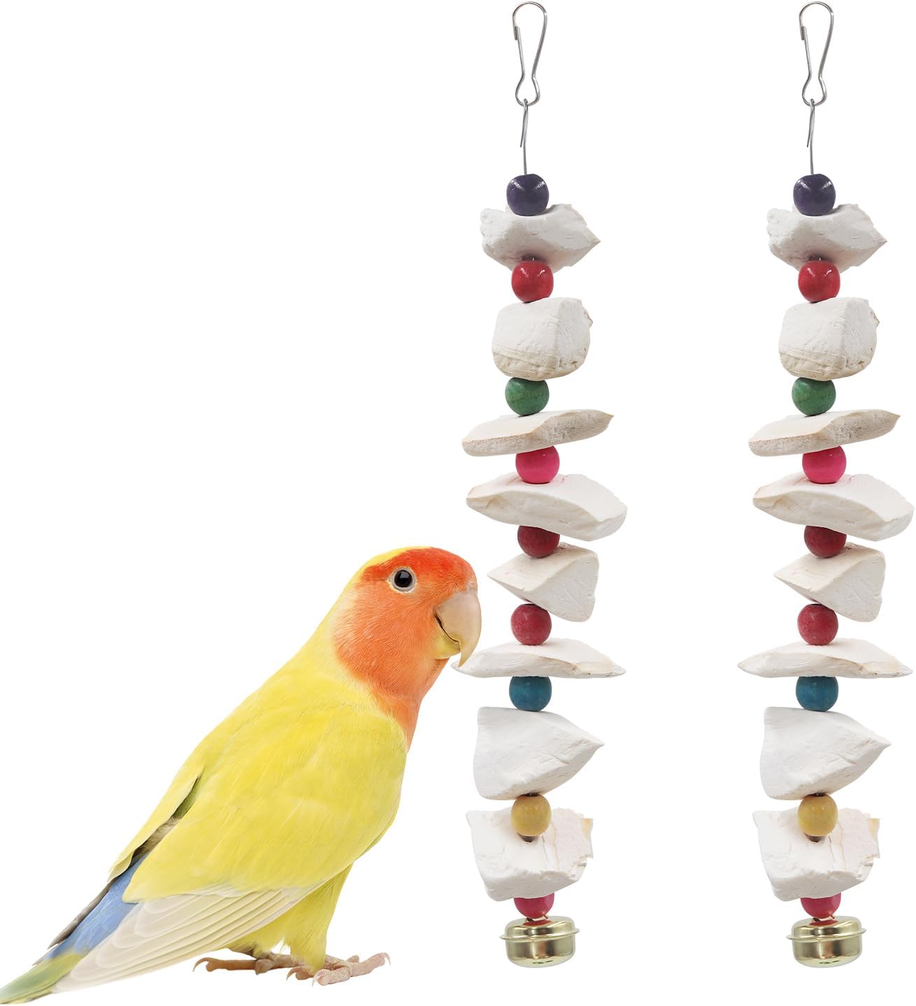 bird care essentials