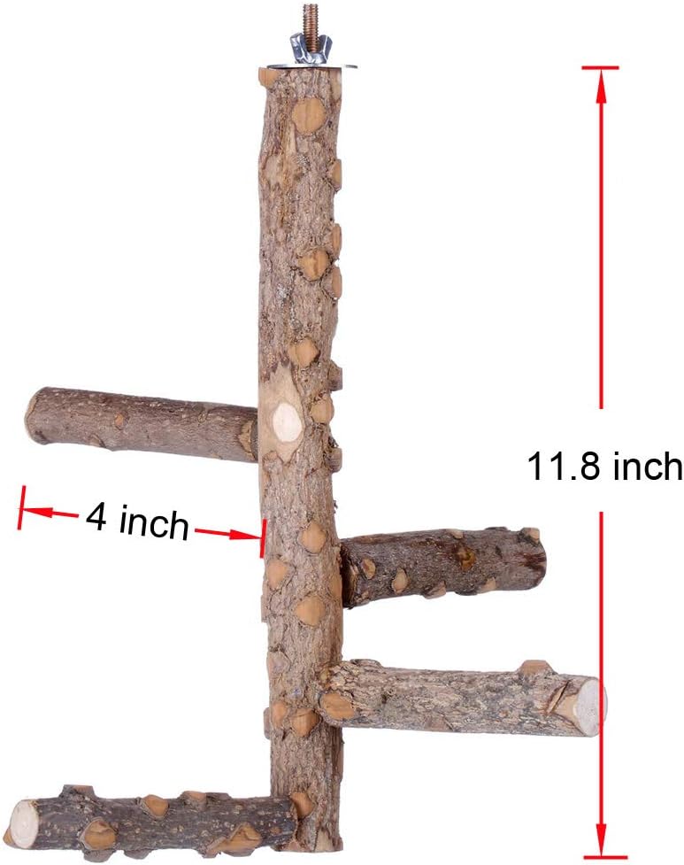 Bird Perch Nature Wood Stand for 3-4pcs Small Medium Parrots (S) - Happypetzone.online - Image 2