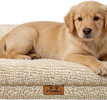 orthopedic dog bed