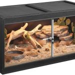 reptile tank terrarium