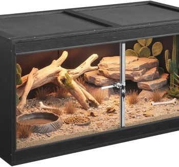 reptile tank terrarium