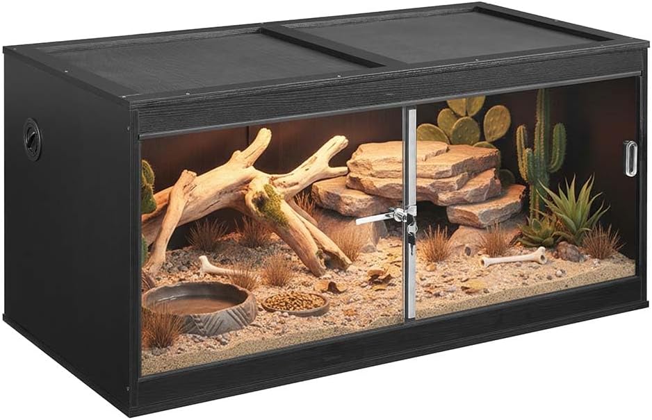 reptile tank terrarium