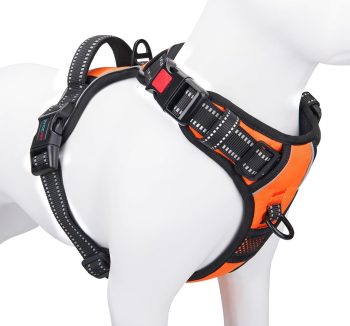 best dog harness for training