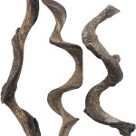 reptile climbing branch