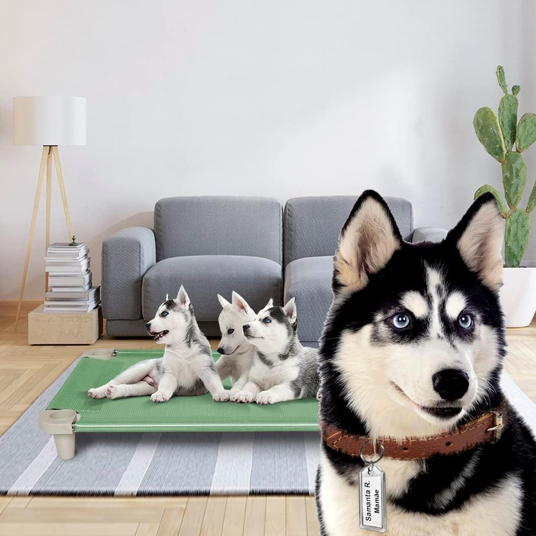 Acrimet Cooling Elevated Pet Dog Bed, Washable and Breathable Mesh Cot, Stainless Steel Frame, Indoor & Outdoor Use, fits Dogs up to 110 lbs (Size: 40” x 24”), Green, 1 Unit - Happypetzone.online - Image 5