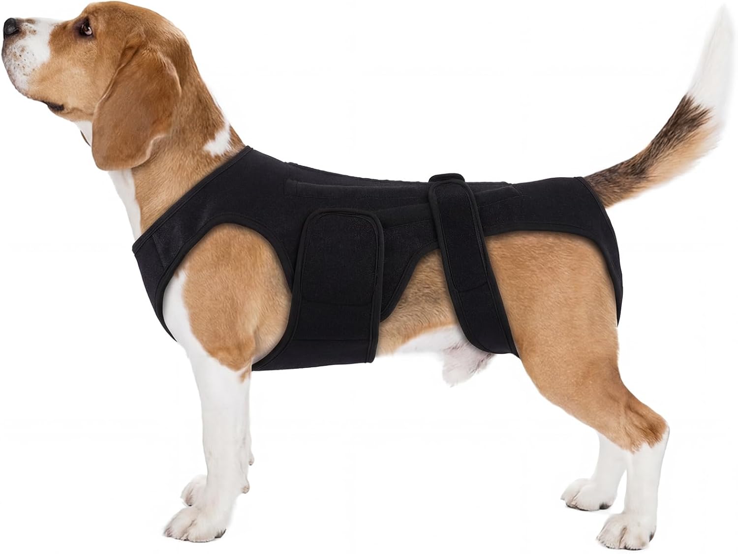 dog hip and joint care