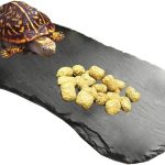 reptile basking platform