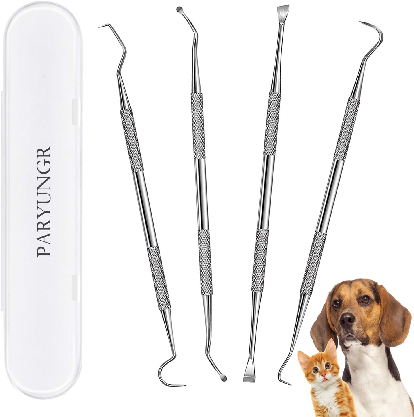 dog teeth cleaning kit