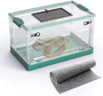 reptile tank with screen top