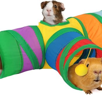 guinea pig tunnel toys