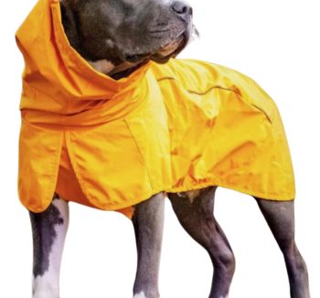 dog jacket waterproof