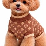 dog apparel luxury