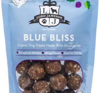 dog snacks healthy