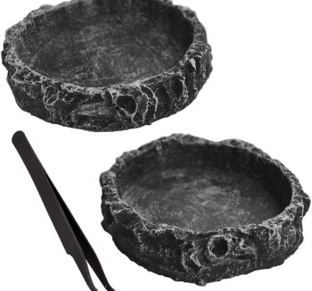 reptile feeding dish