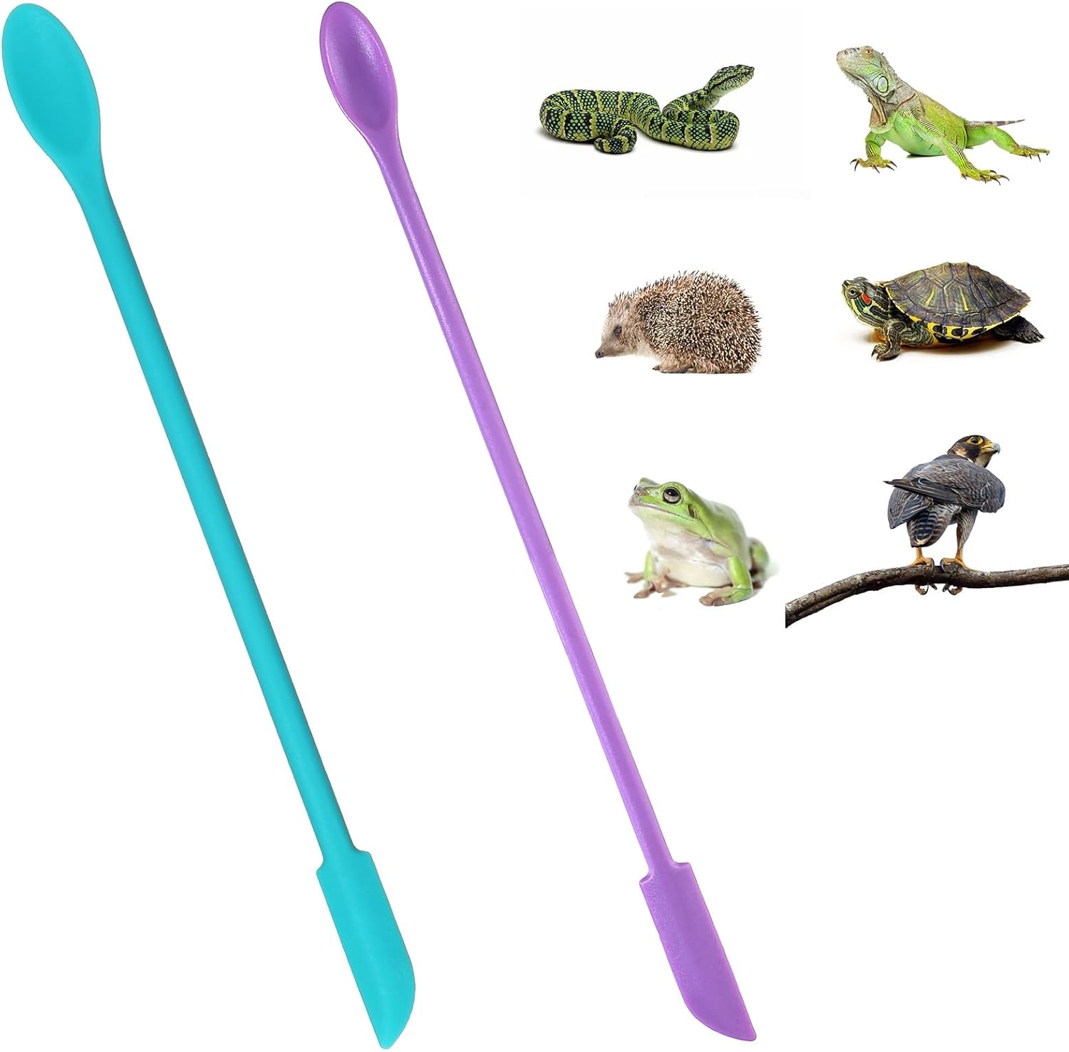 2Pcs Reptile Spoon, Crested Gecko Food Mixing Spoon Long Handle Feeding Tool Crested Gecko Accessories fit Lizard Gargoyle Bearded Dragon - Happypetzone.online - Image 4