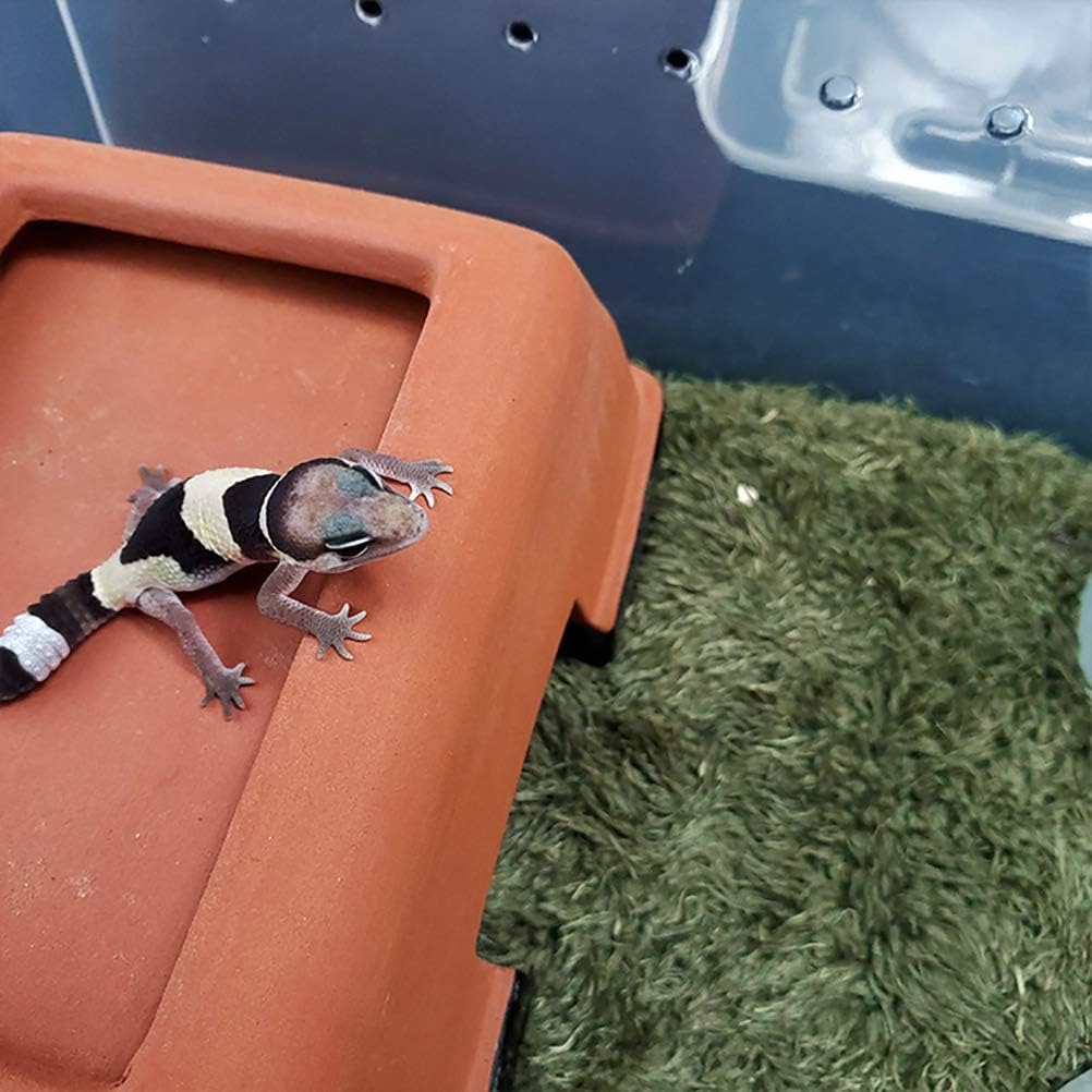 kathson 2pcs Reptile Carpet Terrarium Liner Tortoise Bedding Reptile Substrate Liner Mat Pet Cage Mats Supplies for Lizard Snake Bearded Dragon Gecko Chameleon Turtle Iguana (11.81 X 7.87 in) - Happypetzone.online - Image 6