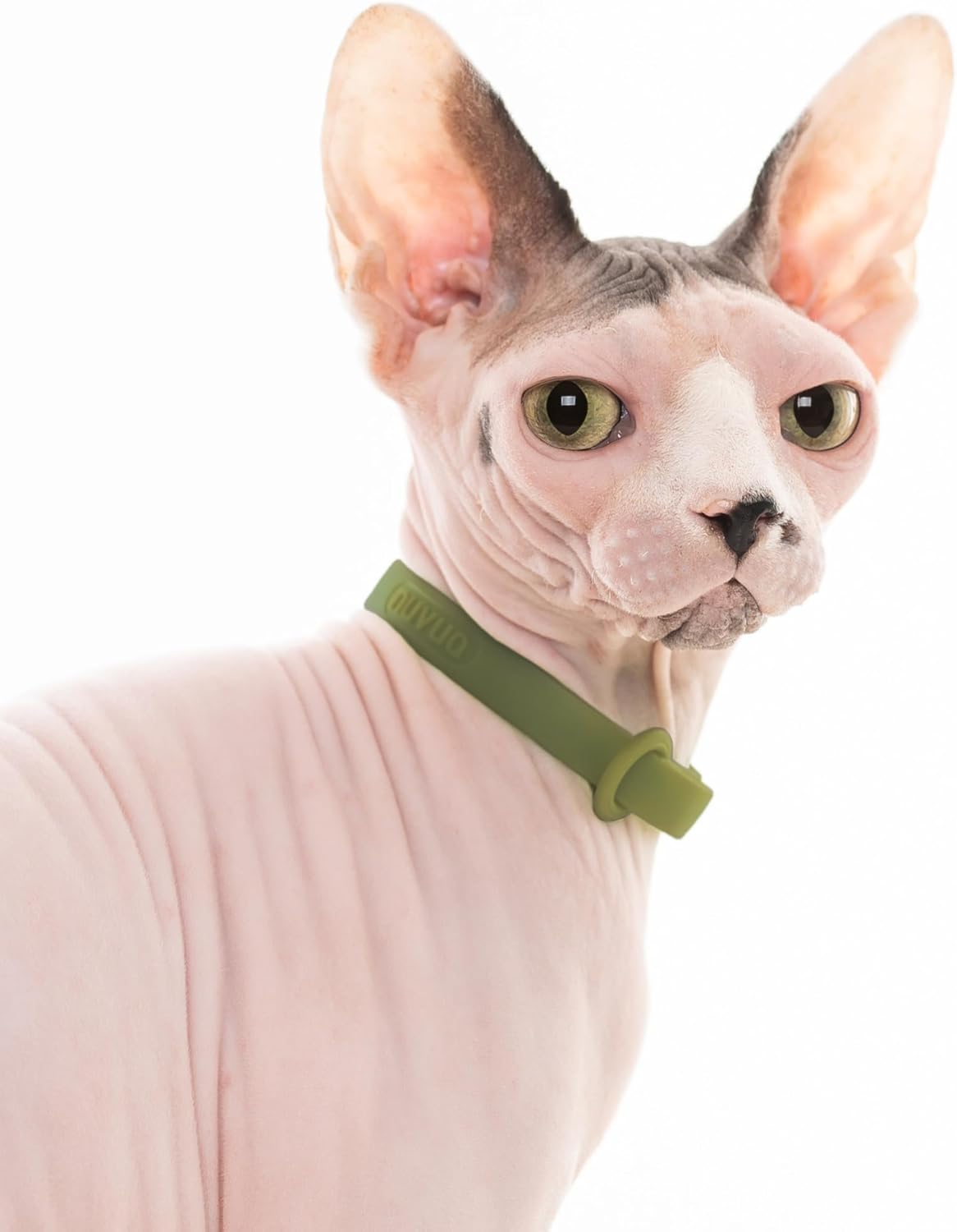 Breakaway Cat Collar - Soft, Comfortable, and Lightweight Safety Buckle Collar with Name Tag Ring for Outdoor Cats and Sensitive Skin Kittens by Nuvuq (6 ⅞" to 10 ¼", Green) - Happypetzone.online - Image 5