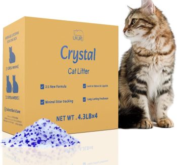 cat litter silica gel