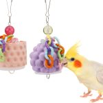 bird calcium supplement