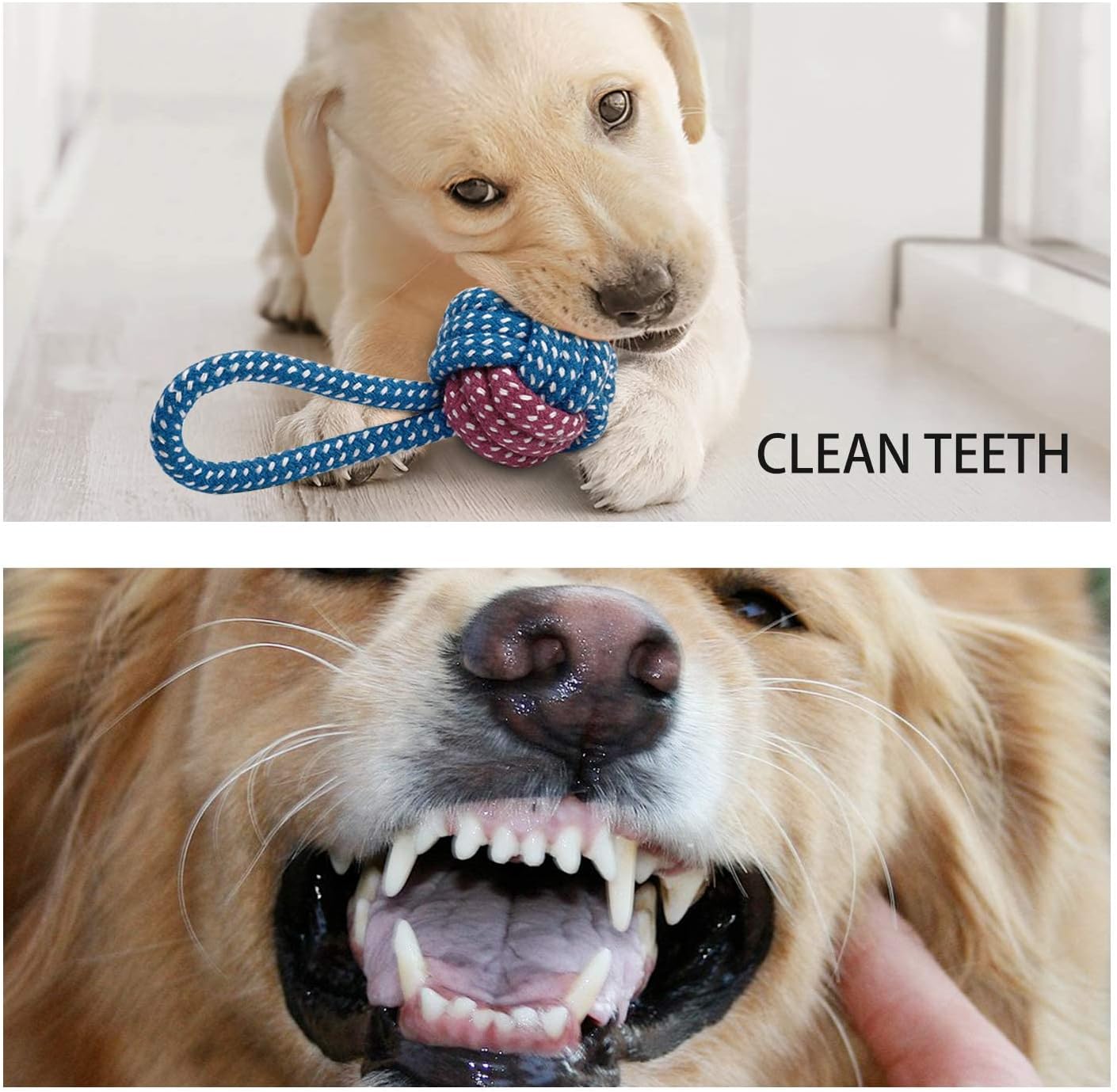 Toozey 7 Pack Small Dog Toys, Puppy Teething Toys, Durable Ropes Chew Toys, Cute Calf Squeaky Dog Toys, Non-Toxic and Safe - Happypetzone.online - Image 6