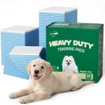 dog potty training pads