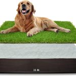 dog house training products