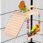 bird perch accessories