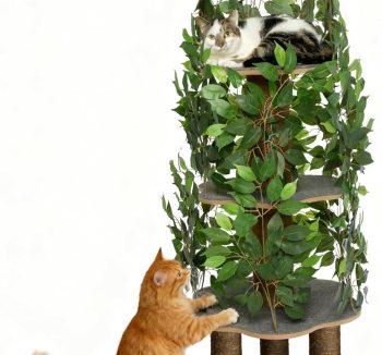 cat climbing tree indoor