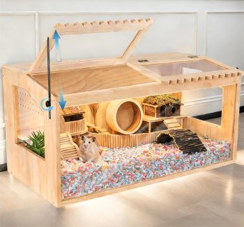 hamster tank habitat