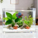 acrylic fish tank